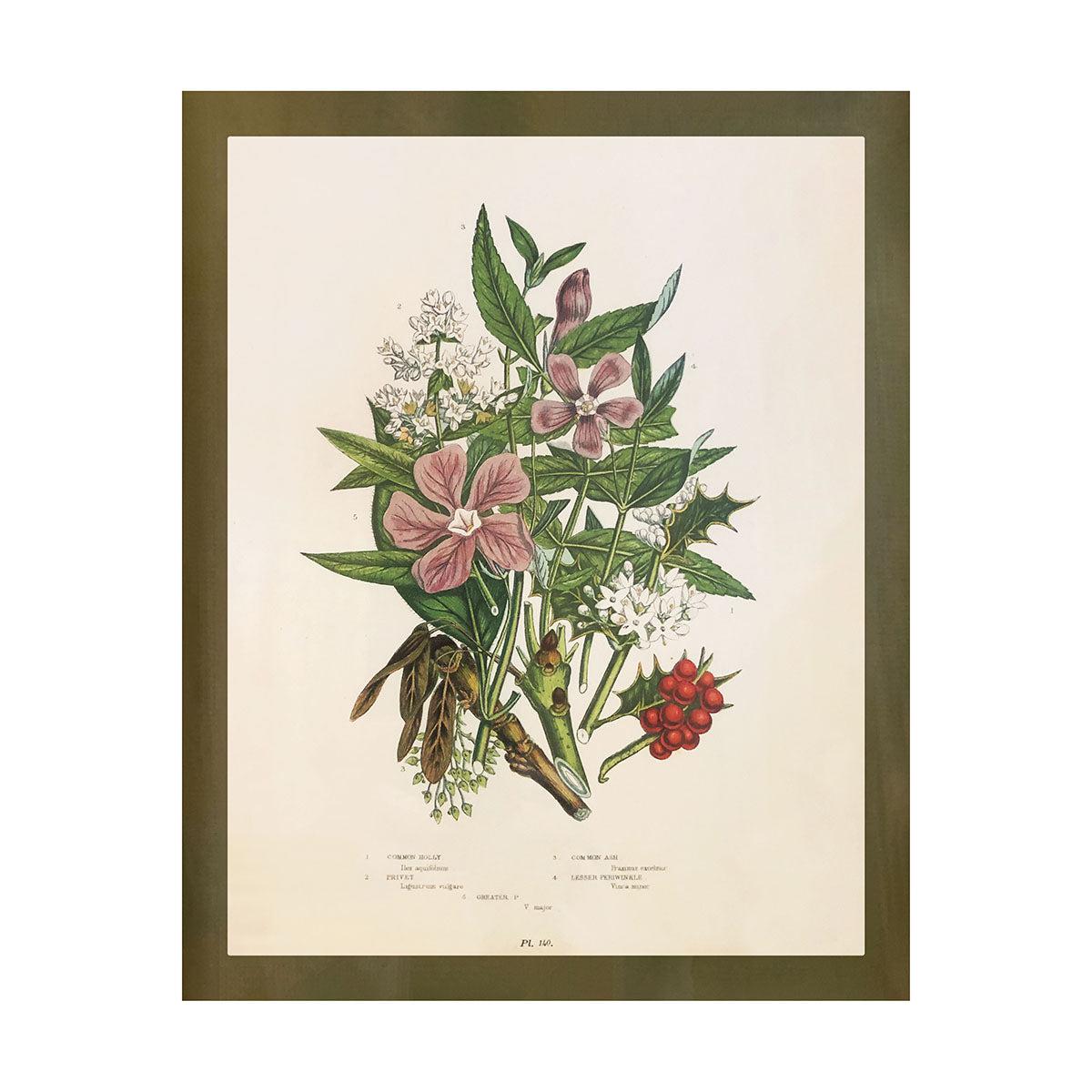 Wildflower Study (Holly and Ash)