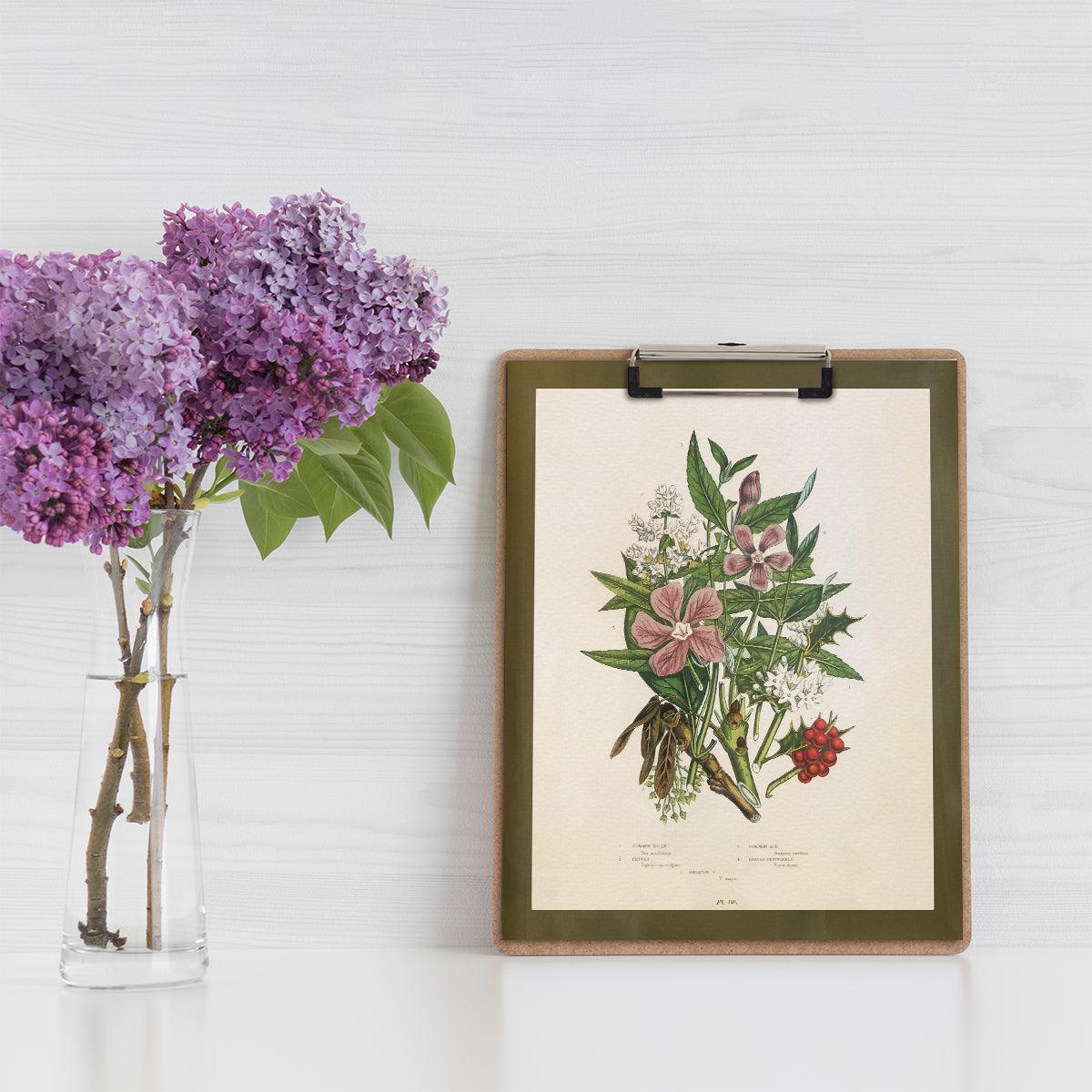 Wildflower Study (Holly and Ash)