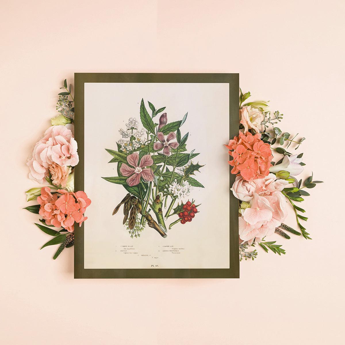 Wildflower Study (Holly and Ash)