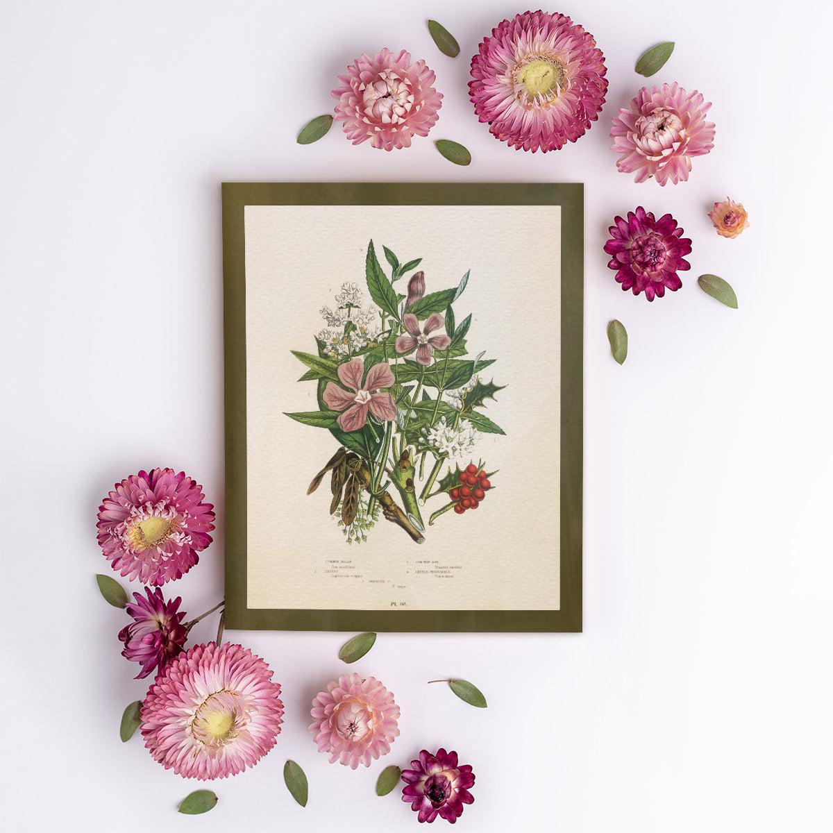 Wildflower Study (Holly and Ash)