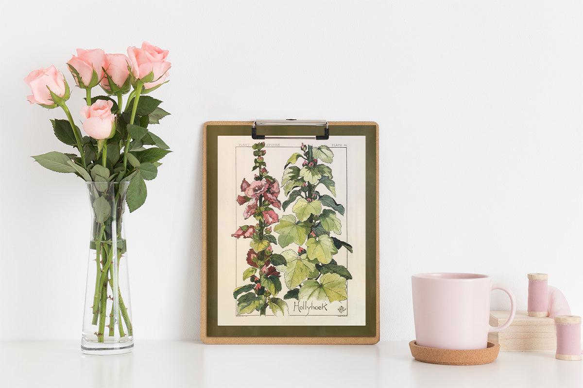 Hollyhock Wildflower Study
