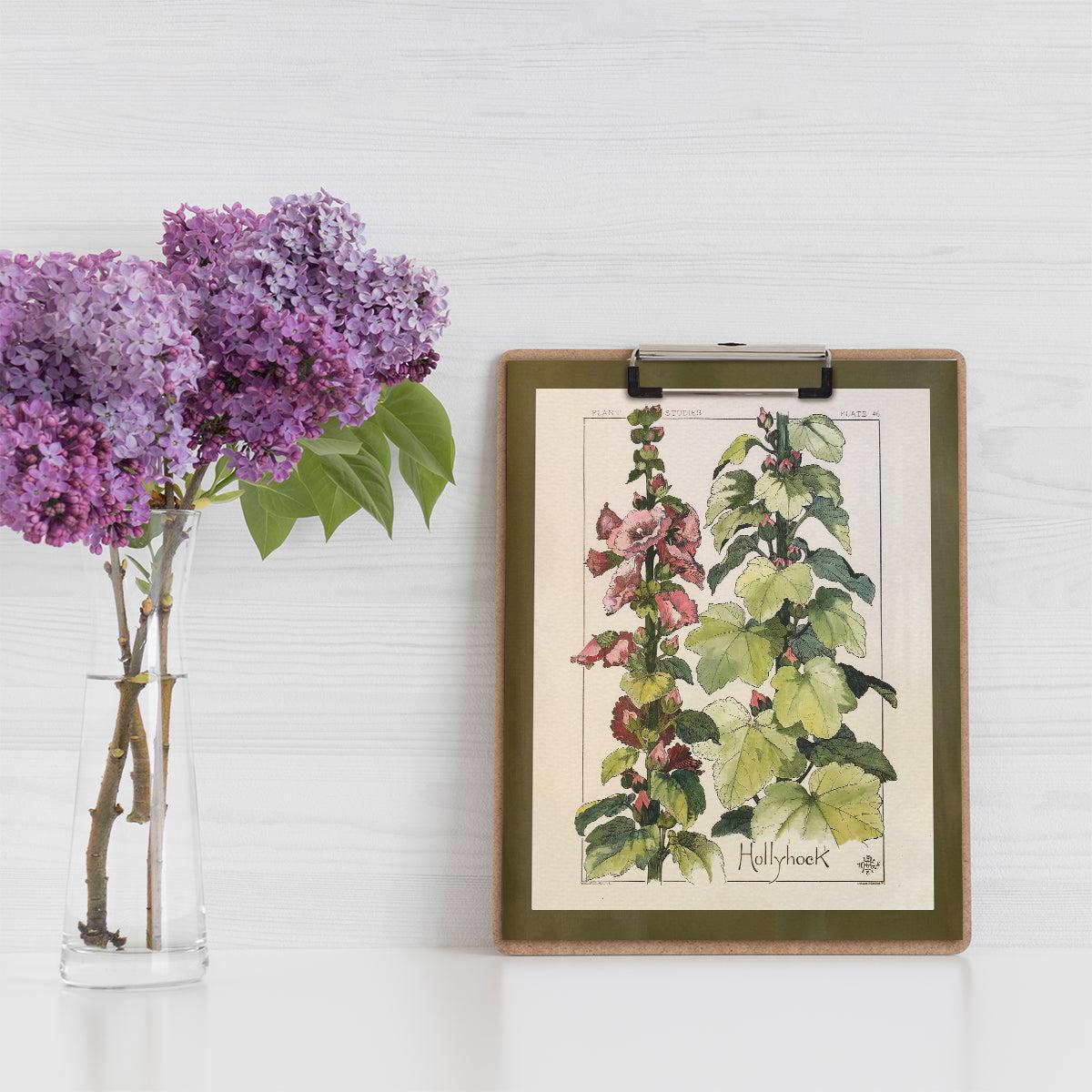 Hollyhock Wildflower Study