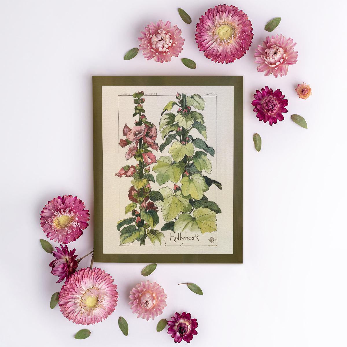 Hollyhock Wildflower Study