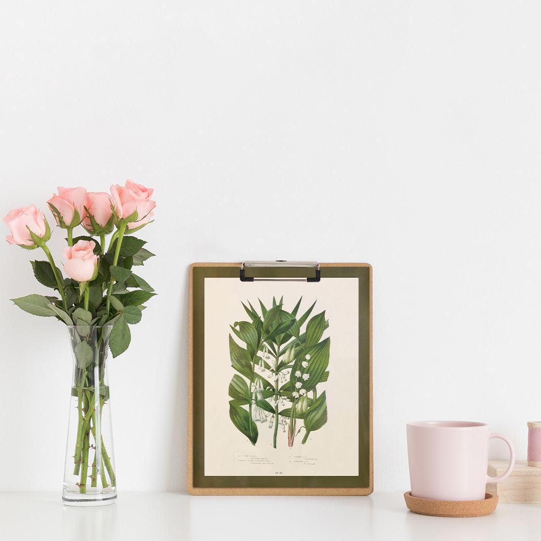 Wildflower Study (Lily of the Valley)