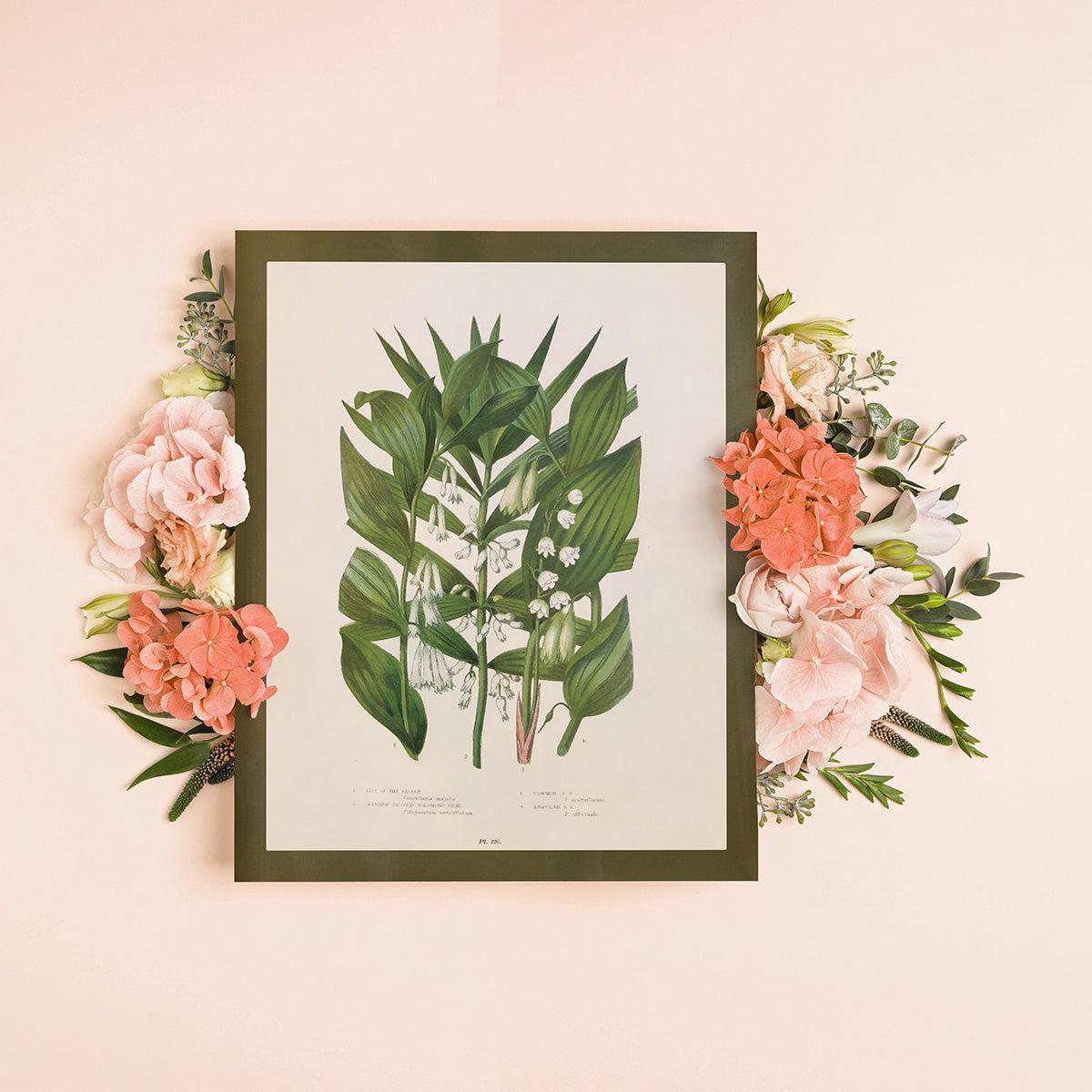 Wildflower Study (Lily of the Valley)