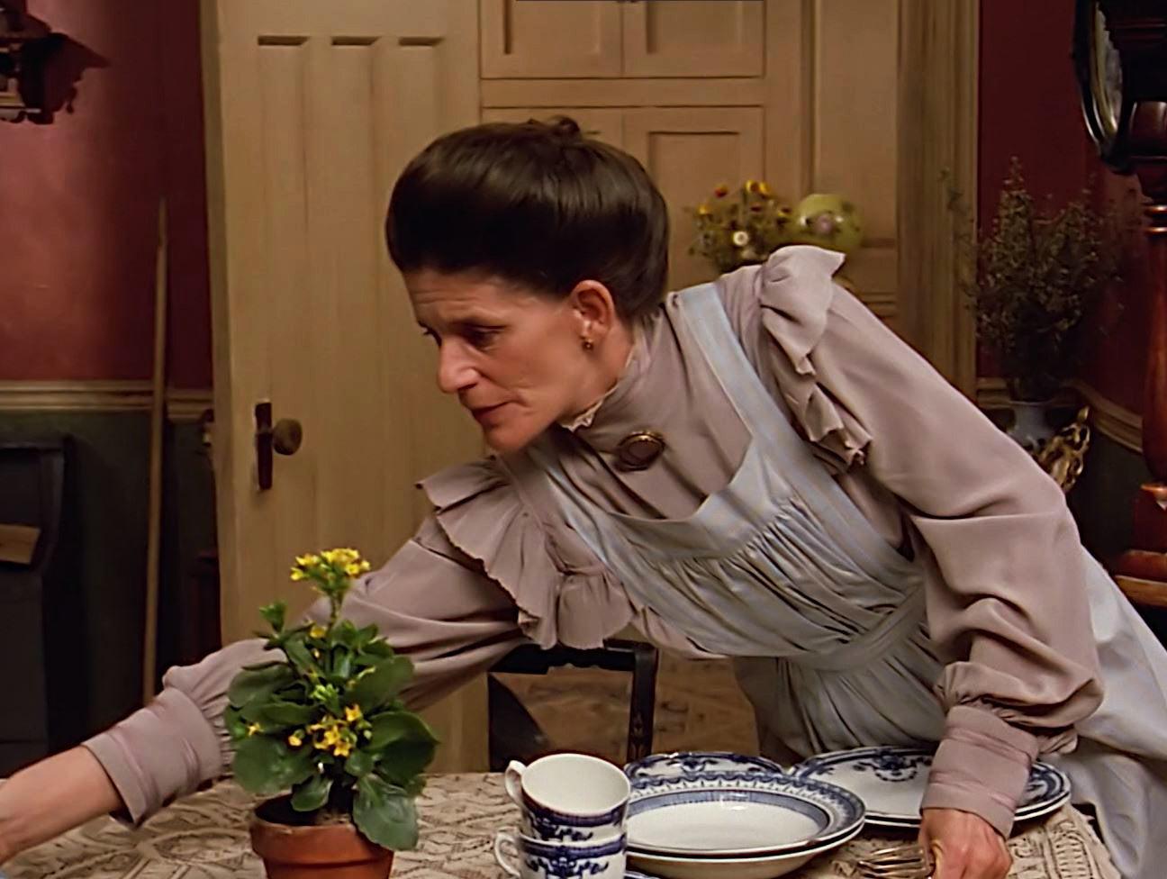 "Avonlea" Apron