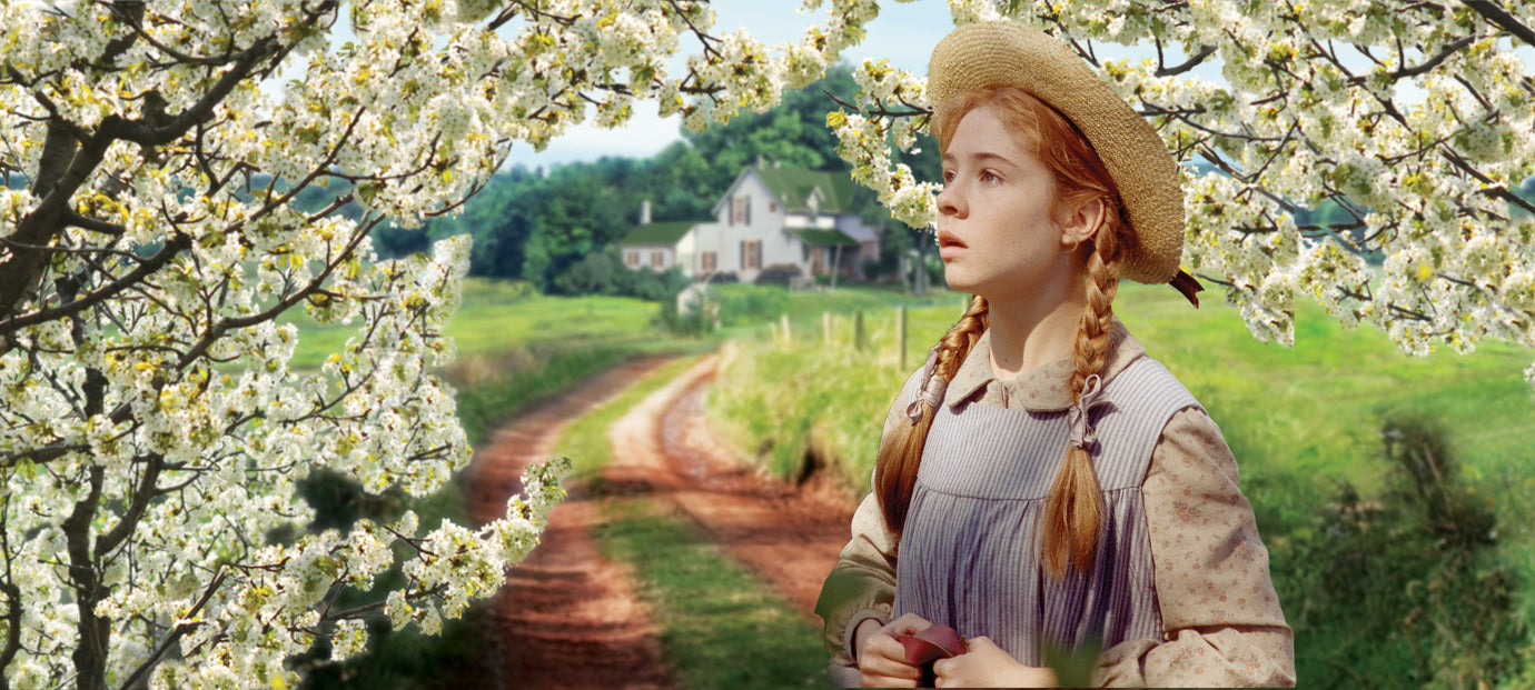 Top Shows That'll Fill the Avonlea-Shaped Hole in Your Heart