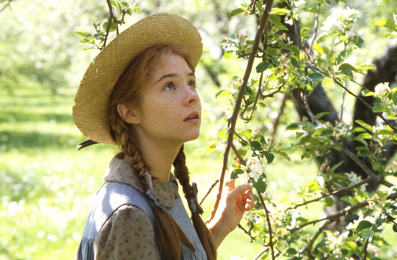 The 10 Best Anne Shirley Quotes