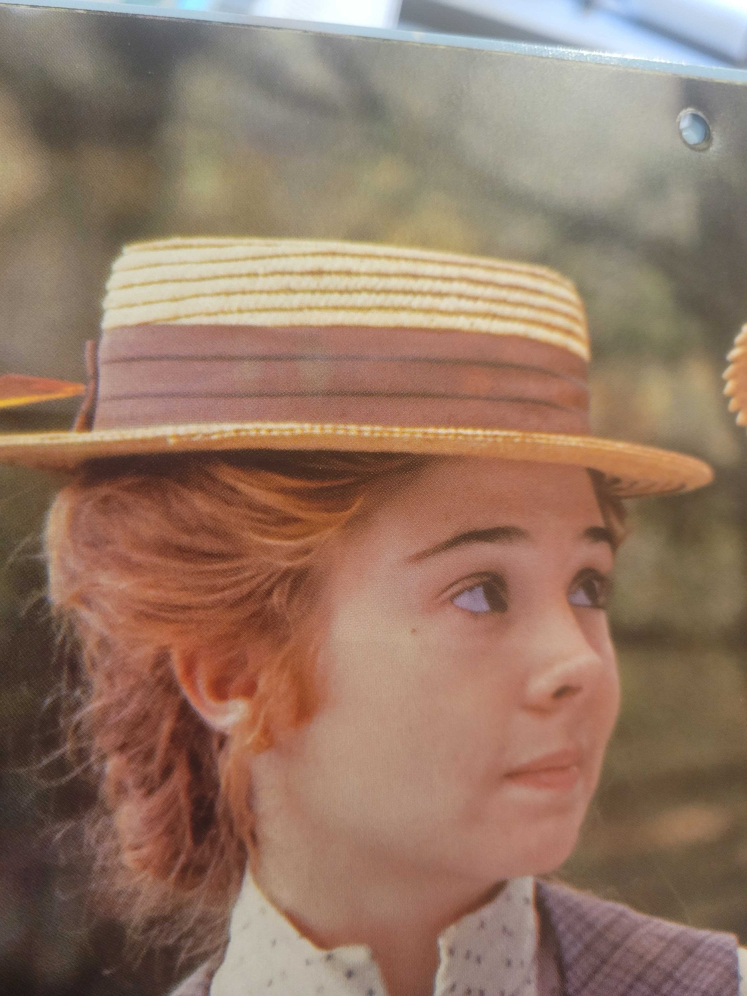 Anne of Green Gables 2026 Wall Calendar (Print Variation Edition)