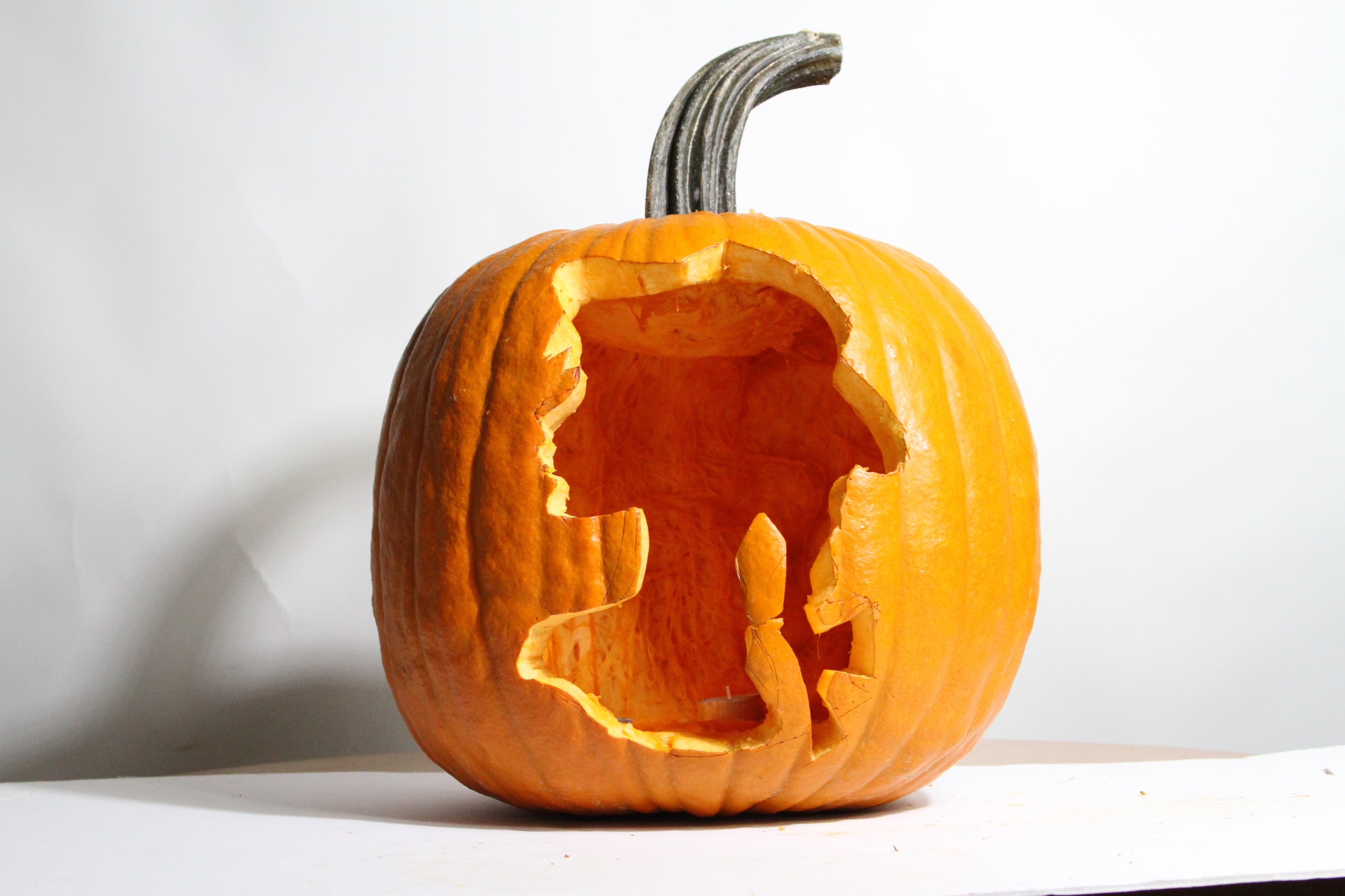 Anne of Green Gables Pumpkin Pattern