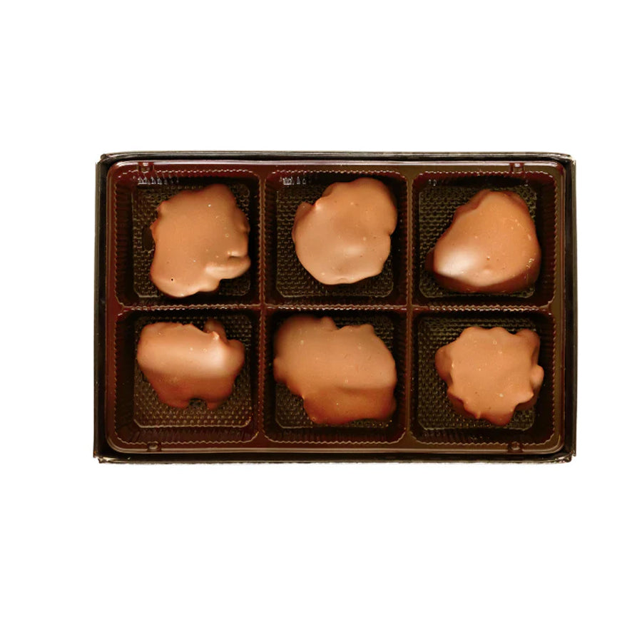 Anne of Green Gables Chocolates- 6 Piece PEI Sea Turtles