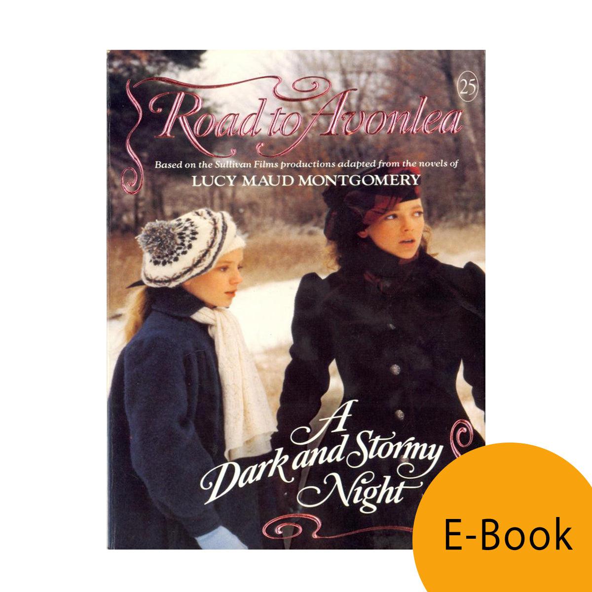 A Dark and Stormy Night (Road to Avonlea-Book 25)-ebook